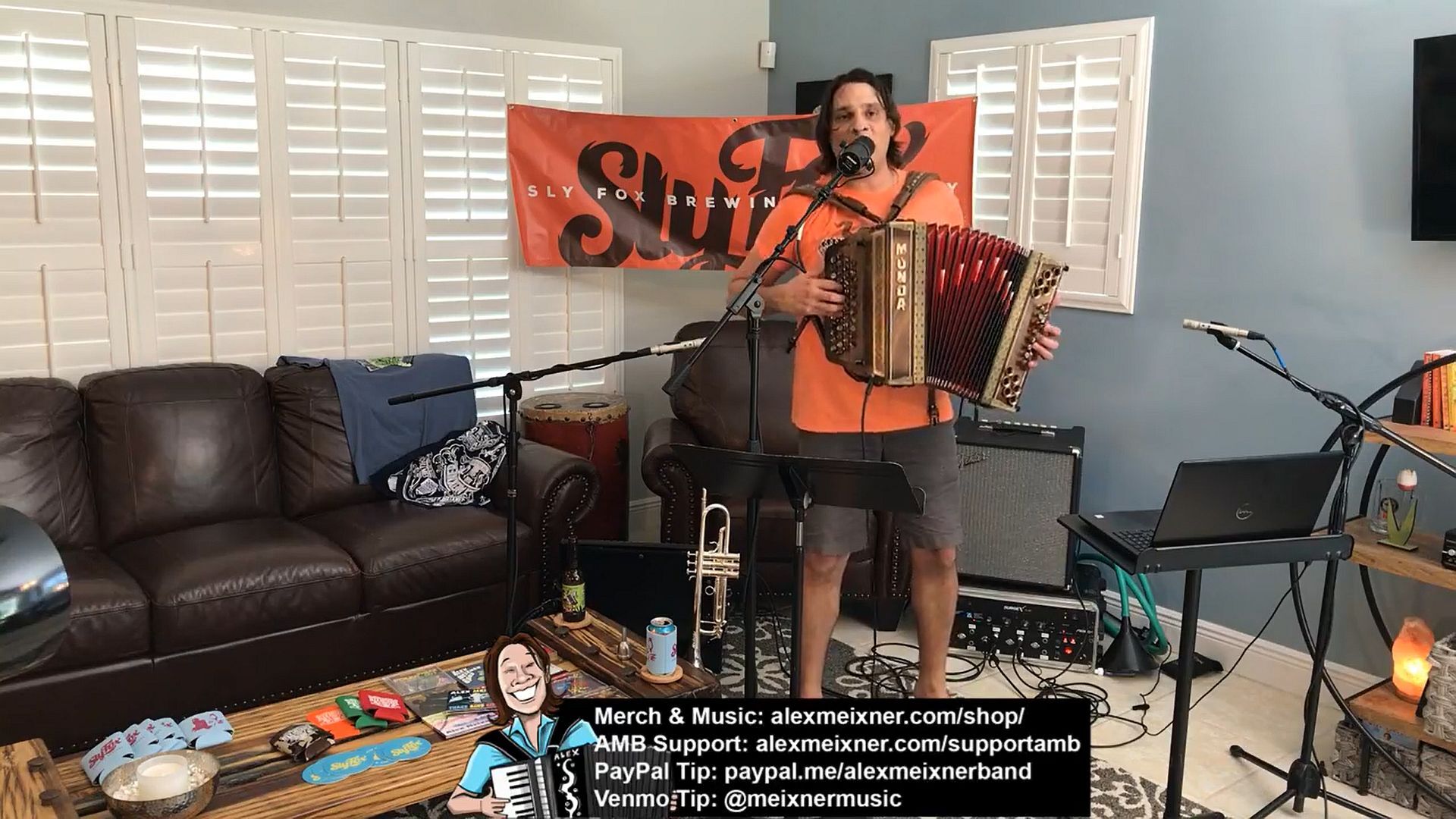 Alex Meixner concert at home